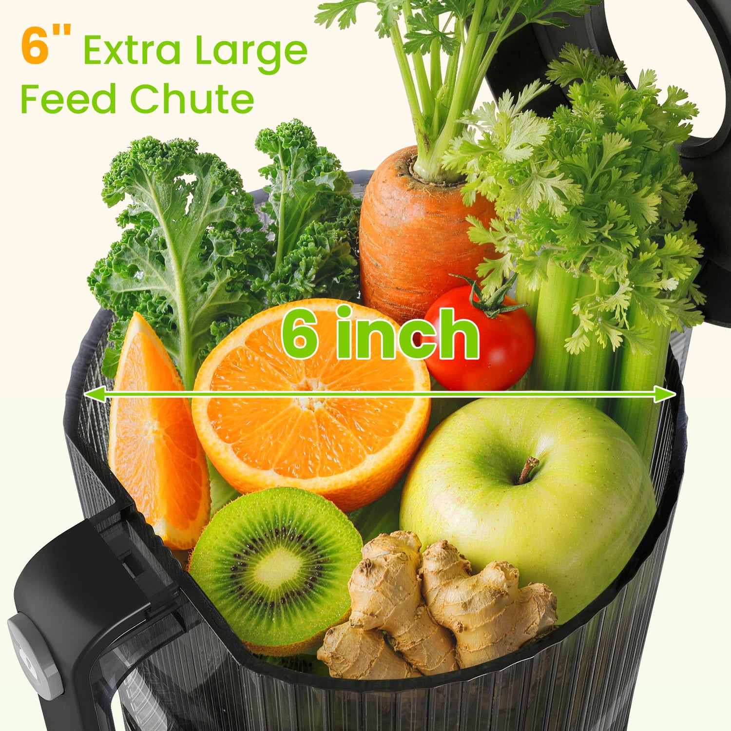 Puraflows Auramist Cold Press Juicer